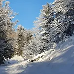 펜션 Familial Vosges Avec Baby-foot Et Animaux Admis - Fr-1-589-688 방트롱