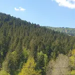 Familial Vosges Avec Baby-foot Et Animaux Admis - Fr-1-589-688 Feriehus Ventron