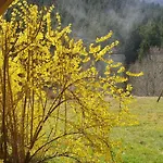 Familial Vosges Avec Baby-foot Et Animaux Admis - Fr-1-589-688 * Ventron