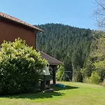 Familial Vosges Avec Baby-foot Et Animaux Admis - Fr-1-589-688 * Ventron