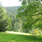Familial Vosges Avec Baby-foot Et Animaux Admis - Fr-1-589-688 * Ventron