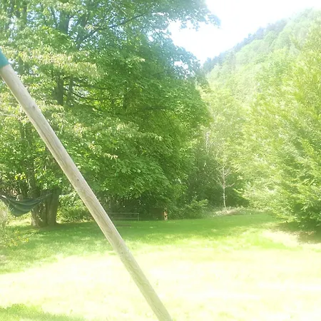 Holiday home Familial Vosges Avec Baby-foot Et Animaux Admis - Fr-1-589-688 Ventron