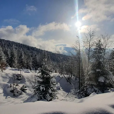 Hébergement de vacances Familial Vosges Avec Baby-foot Et Animaux Admis - Fr-1-589-688 *