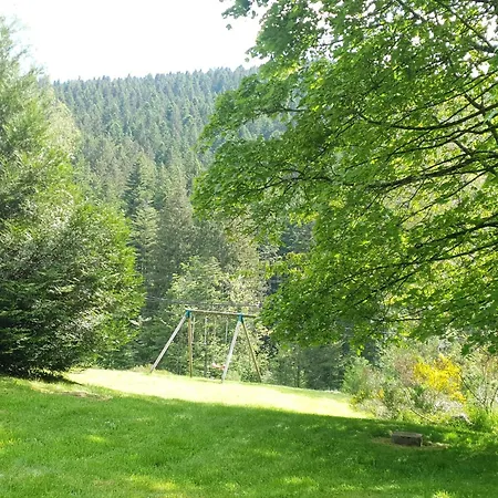 Familial Vosges Avec Baby-foot Et Animaux Admis - Fr-1-589-688 * Ventron